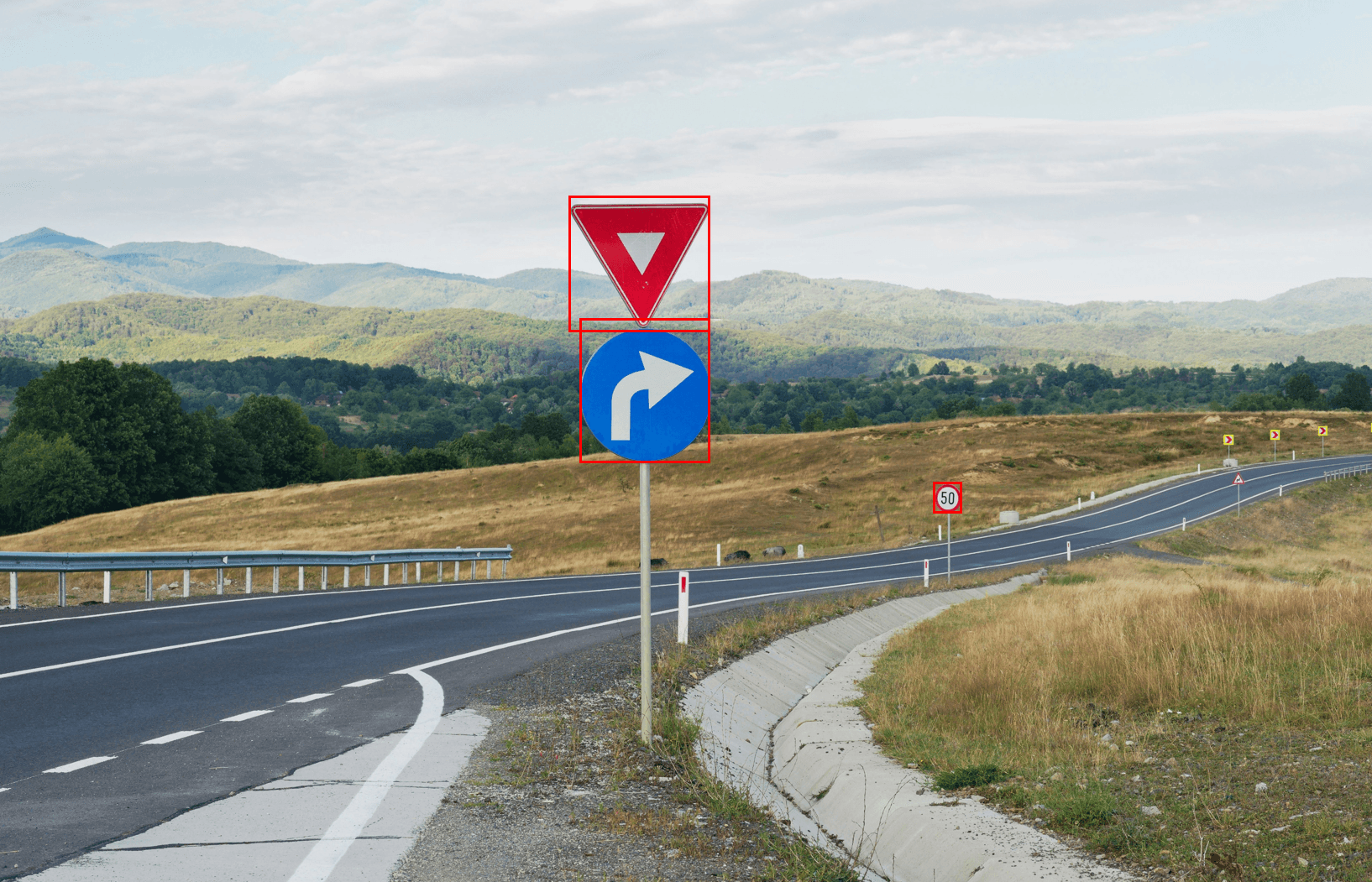 Customized Region Proposal based Traffic Sign Detection